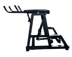 Reverse hyperextension machine
