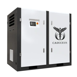 Air compressor station CADUCEUS AIRCAD 3-50 S, 50 kW, 2.0-8.9 m3/min, 0.8-1.3 MPa