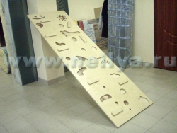Inclined climbing wall "Nellia"