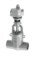 Control valve series 1416 DN 65 - 80, PN up to 50MPa, Tp up to 570°C