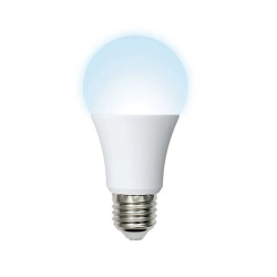 LED-A65/E27 light-emitting diode lamps
