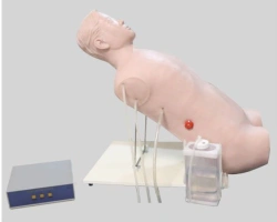 Chest puncture training model, CK818