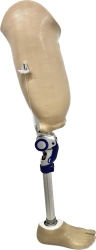 Modular hip prosthesis, including underdevelopment, PN6-77