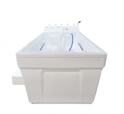 Bath tub "GOLFSTREAM", modification - aeromassage, with PDM, with chromolamps: PDM/A18/X