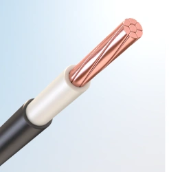 Wire for electrical installations with rated voltage up to 450/750 V AC with frequency up to 400 Hz or 1000 V DC.