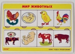 Game "Wonders of Transformations" (Animal World)