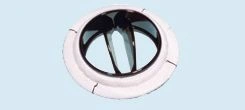 Aortic heart valve prostheses with rotary flaps made of pyrocarbon "MEDING".