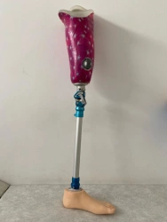 Hip prosthesis for bathing PH6-72K