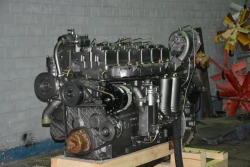 Diesel engine D-3067-01