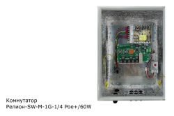 ??????-SW-?-1G-1/4Poe+/60W