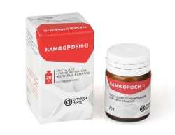 Paste for root canal filling "Camforfen-B"