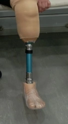 Tibial prosthesis for bathing