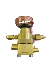 Thermostatic control valve TE3
