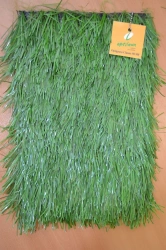 Artificial grass Optigrass Classic 50 MF