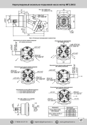 Axial piston hydraulic pumps not adjustable with inclined block type MG2.28/32.9.A