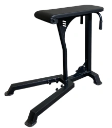 Bench for reverse hyperextensions
