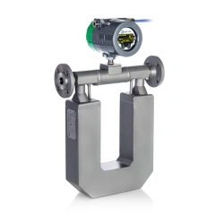 Mass flow meters ELMETRO-Flomac (version code M)