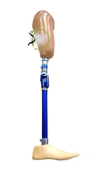 Bathing hip prosthesis PH6-M-K
