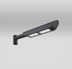 LED landscape luminaire TEGAS SN8L-AT100 H-250