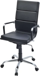 Armchair Eva P