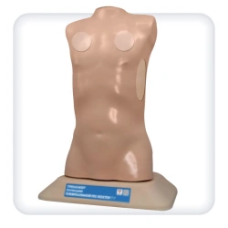 Child mannequin for practising pleural puncture skills, L70A