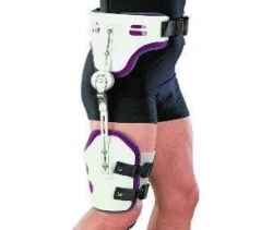 ANK-TS Hip Apparatus