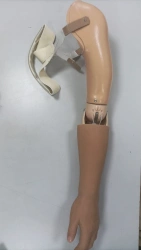 Cosmetic shoulder prosthesis