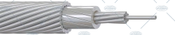 Non-insulated wire ASPTz