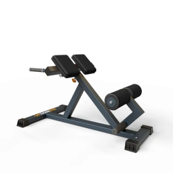 BF-313 Hyperextension (angle 45)