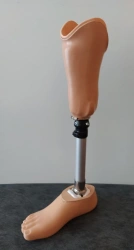 Therapeutic-training tibia prosthesis PN-GL