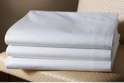 Sheet