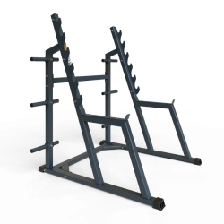 BF-309 Squat bench