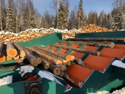 AXEL 03-2 stepfeeder log splitter by piece