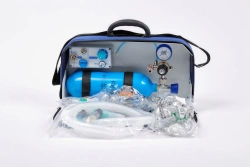 Portable artificial lung ventilation apparatus "SPASATEL - 1" PPTD.2933.002TU