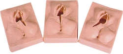 Models for practising episiotomy and suturing, H