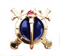 Gold-coloured metallic buttonhole emblem for officers of the internal affairs bodies of the Russian Federation who have a specia