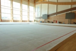 Rhythmic gymnastics carpet art.KH-009