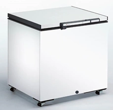 Freezer, brand "DERBY", model D29LT