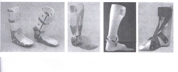 Ankle apparatus ANK-GS