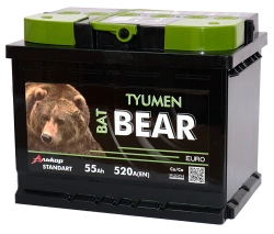 Lead battery for starting piston engines 6ST-55VLA L1 "Tyumen BatBEAR"