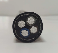 Power cables (A)VKSShvng(A)-LS