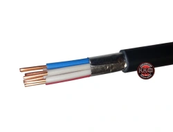 Cable KVVGENG(A)-LS 5h1 kr (0,66) GOST LLC "KKF"