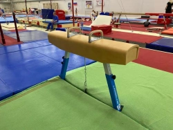 Competitive swing horse