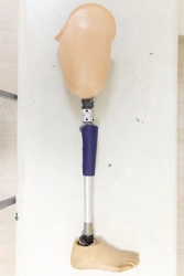 Modular hip prosthesis PN6-71