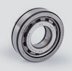 Cylindrical roller bearing 66-692306K2MSH2
