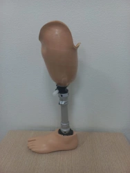 Therapeutic-training tibial prosthesis PN3-LT.1