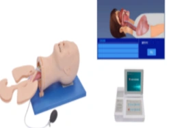 Full-functional model of airway management, J51+