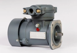 Explosion-proof asynchronous motor AIM-A63 A2UHL1-M (S3)