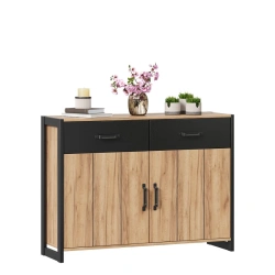 Techno LD.678210.000 Combination cabinet (Oak Gold/Black )