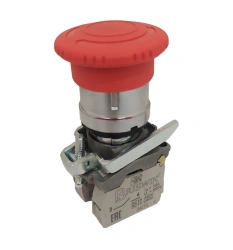 Switch with mushroom-shaped pusher with locking 22mm metal (CME 5FS)
